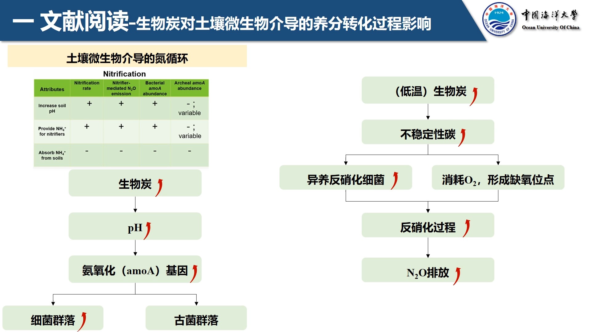 生物炭理化性质对土壤细菌,真菌,原生动物群落演替及养分循环的关系