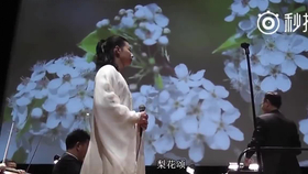 霍尊 梨花颂 哔哩哔哩 つロ干杯 Bilibili