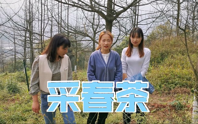 小霞跟方山姐妹上山采茶,蹭了一顿饭,还见到了师父曾经的团队成员们