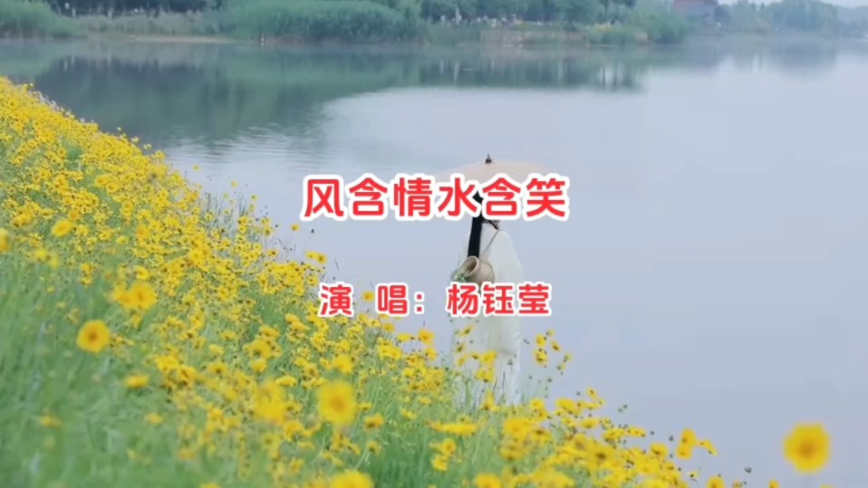 杨钰莹《风含情水含笑 》