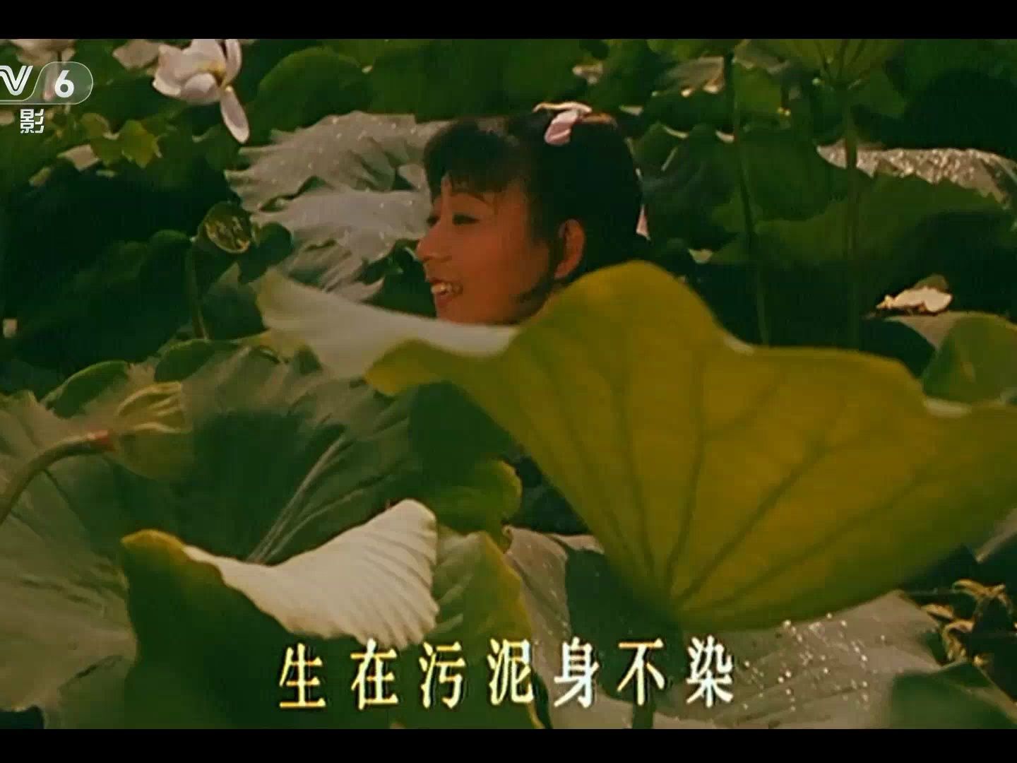 【中国电影】1985《八仙的传说》上海电影制片厂:王夫棠 石维坚 赵钱孙 田晓梅 铁牛 袁之远 孙剑 杨建忠哔哩哔哩bilibili