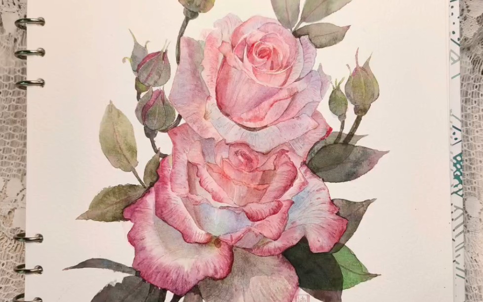 水彩|画了粉色的玫瑰~步骤图
