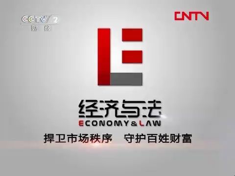 【老节目】CCTV2《经济与法》“行动2011”之“打拐行动”(2012.3.5)哔哩哔哩bilibili