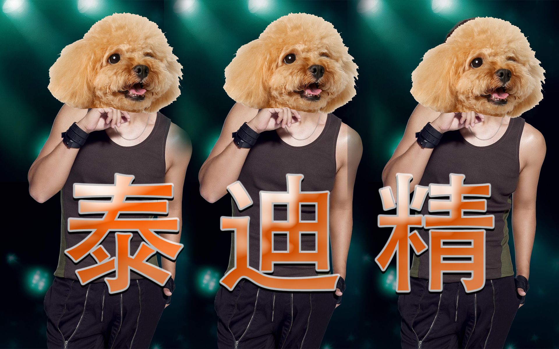 【罗志祥】 泰 迪 精