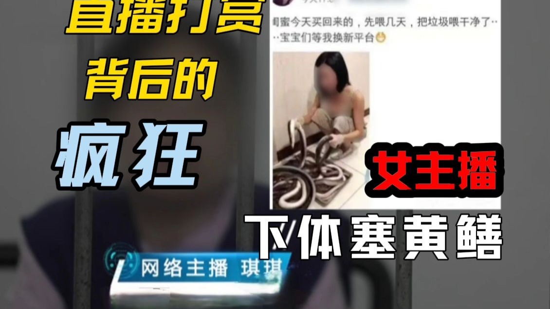 黄鳝门：女主播为暴利突破底线，一场直播背后的疯狂与崩塌！