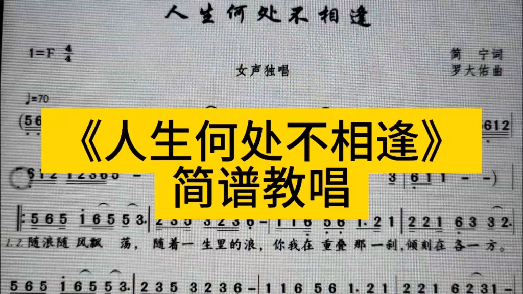 《人生何處不相逢》簡譜教唱,每天跟我唱,學會簡譜不困難