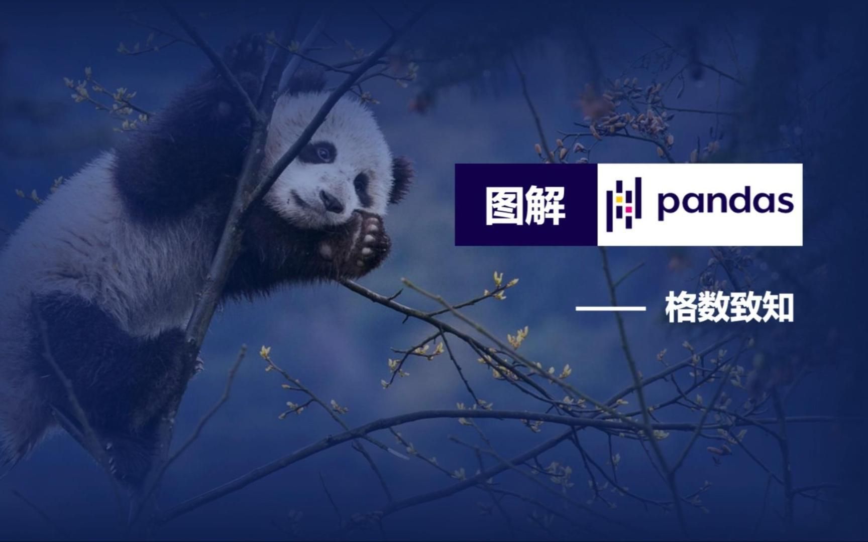 图解Pandas系列03Pandas条件查询与数据计算哔哩哔哩bilibili