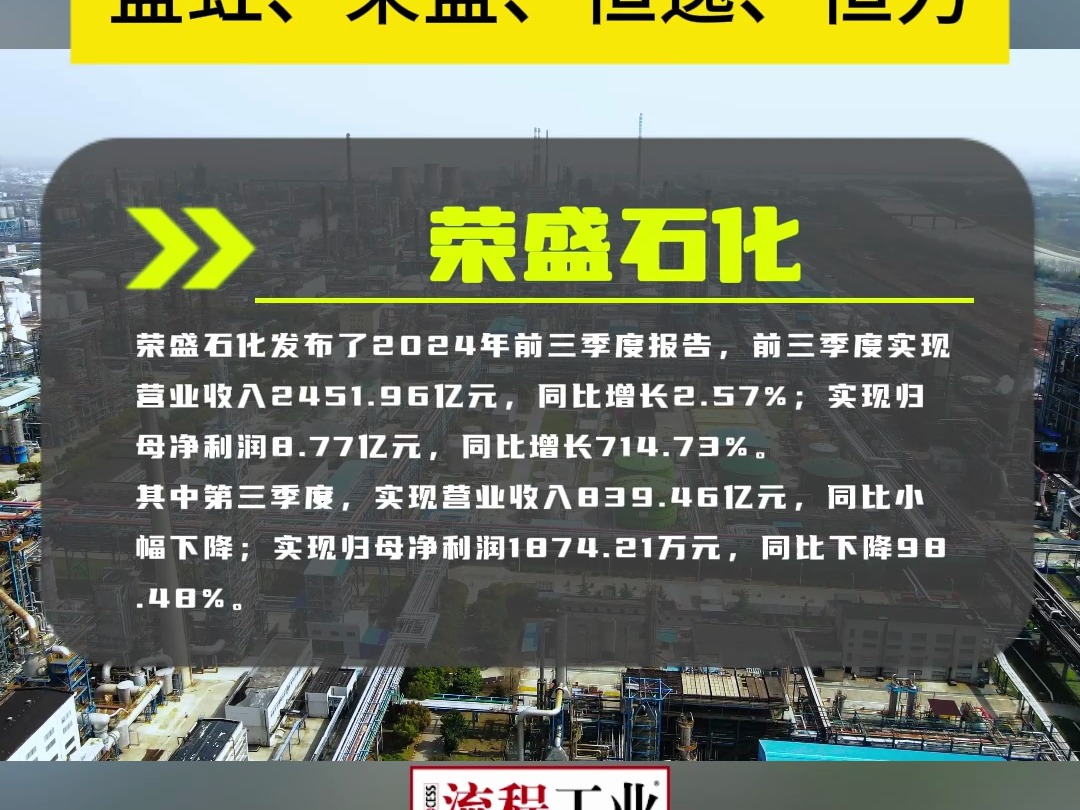 盛虹、荣盛、恒逸、恒力四大民营炼化巨头2024年三季度报告,净利润两家上涨,两家下跌!!!哔哩哔哩bilibili