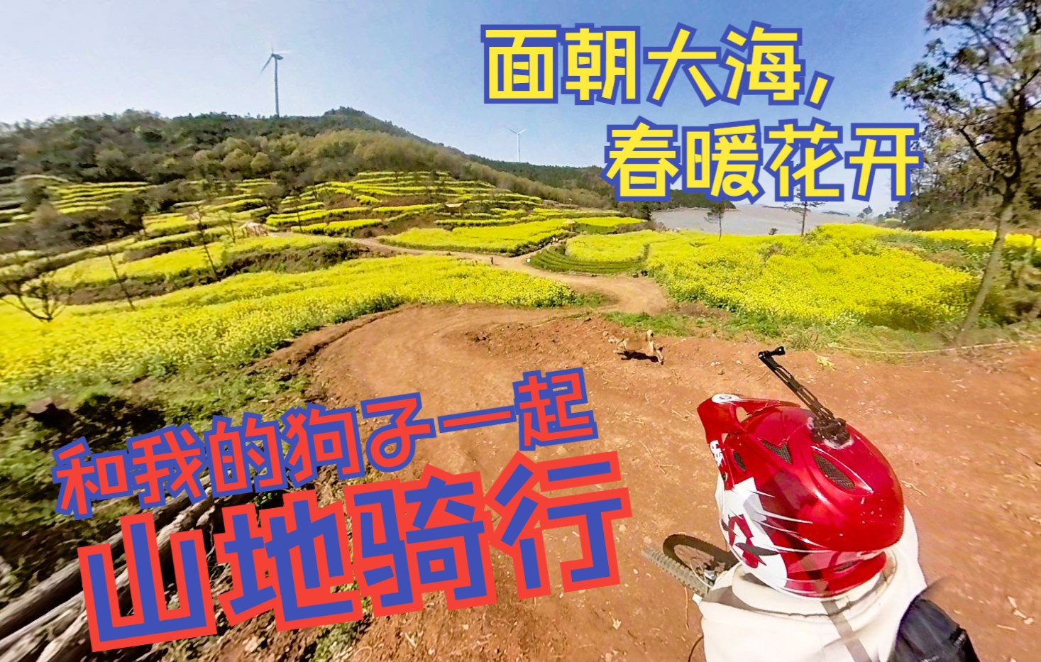 3604k全景山地騎行和風速狗一起面朝大海春暖花開鄰海油菜梯田