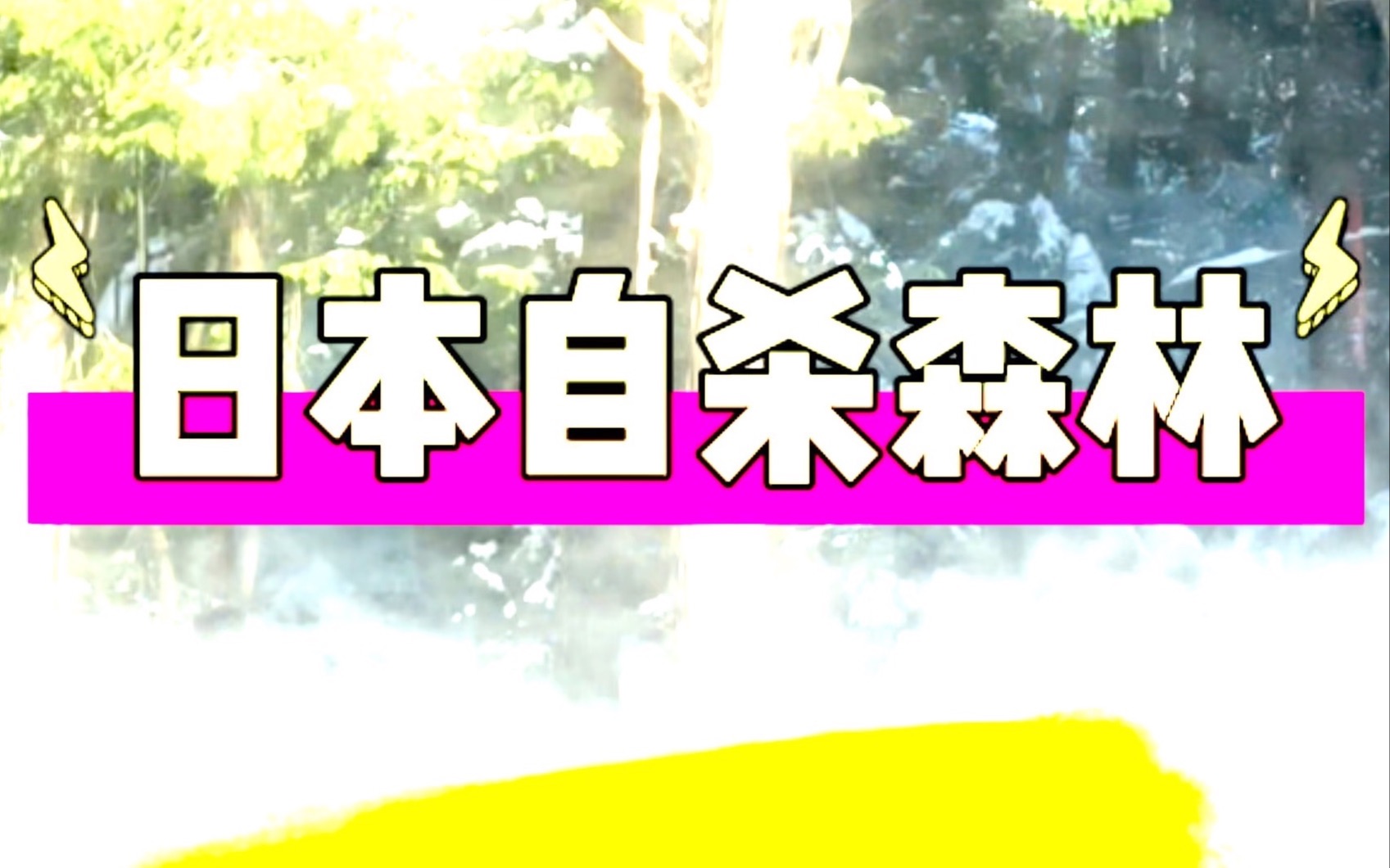 [图]日本自杀森林 青木原树海