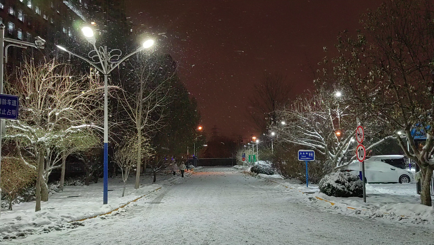 白雪纷飞,这是雪落下的声音
