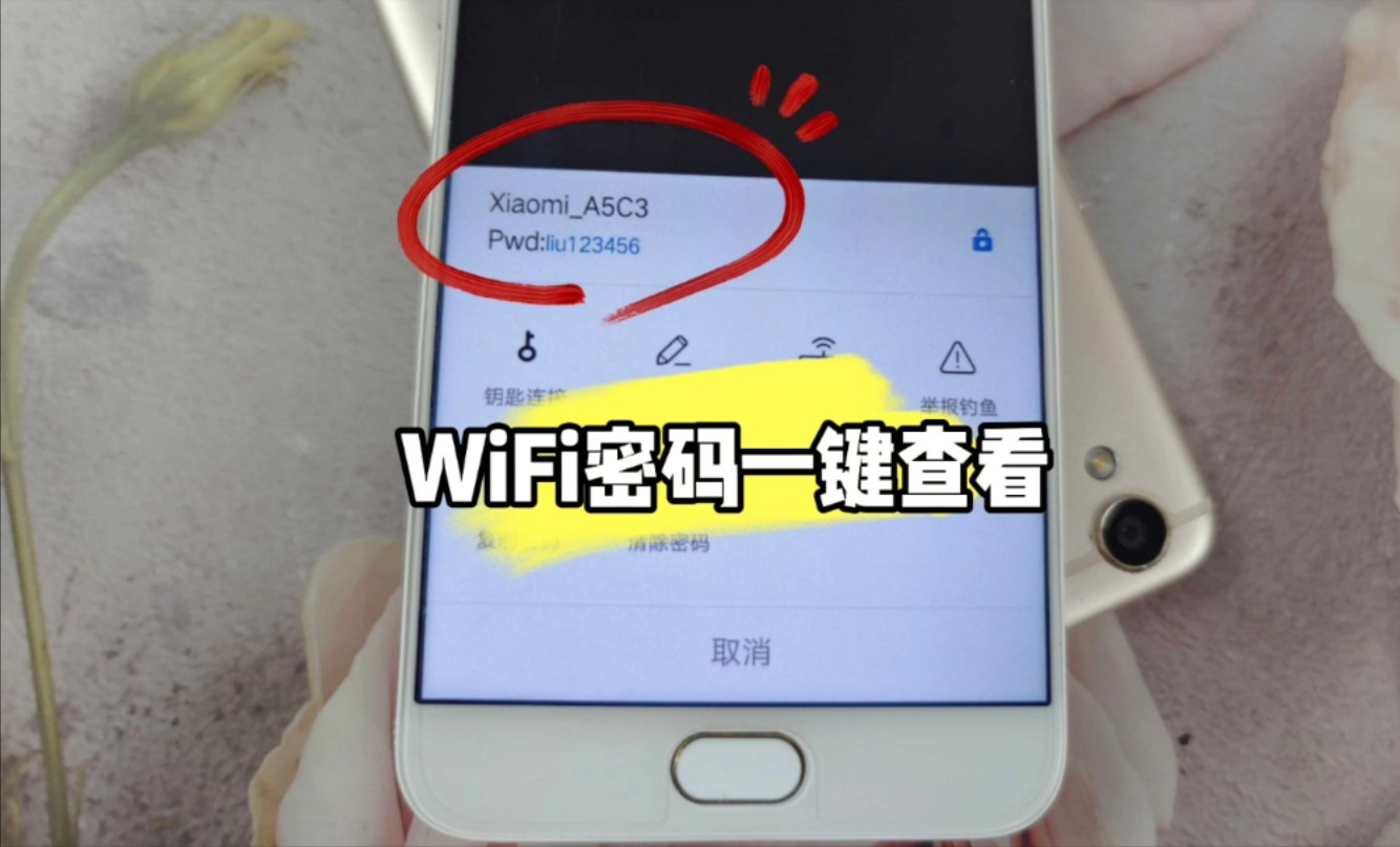 青皮树酒店wifi密码图片