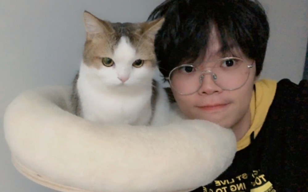 kb呆又呆个人混剪feelittoo