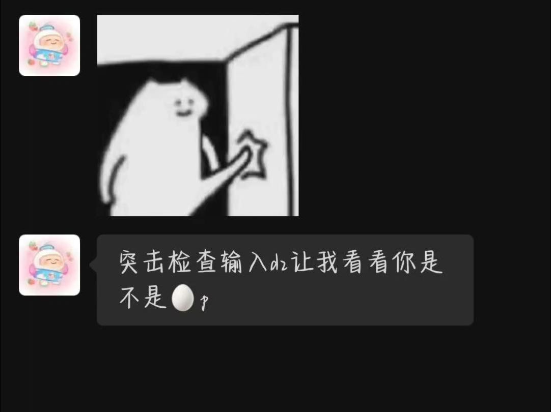 突击检查,输入dz是什么哔哩哔哩bilibili