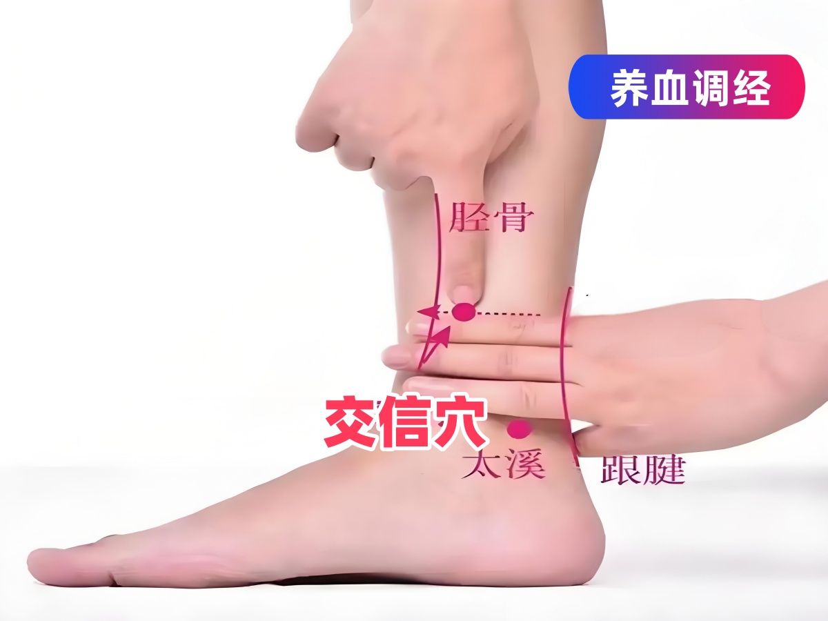 135,足少阴肾经 — 交信穴 — 养血调经
