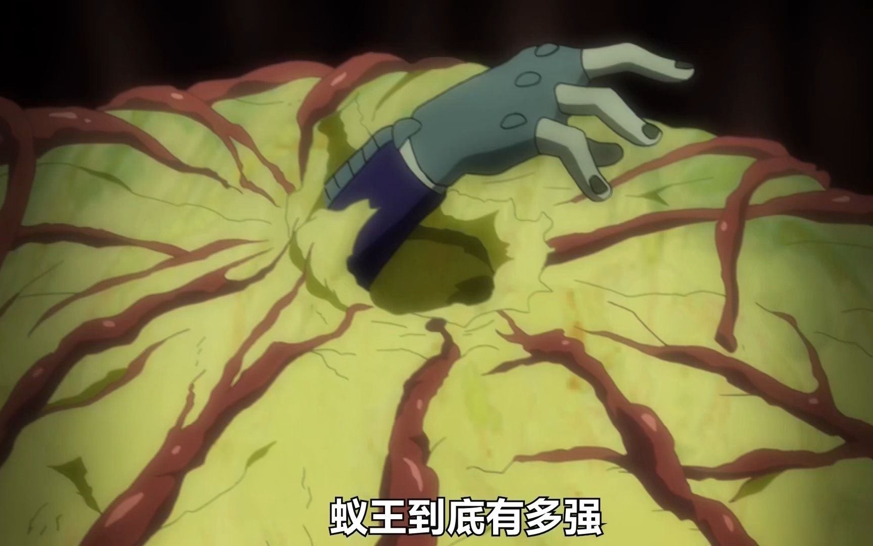 花4分钟一口气看完全职猎人蚁王篇