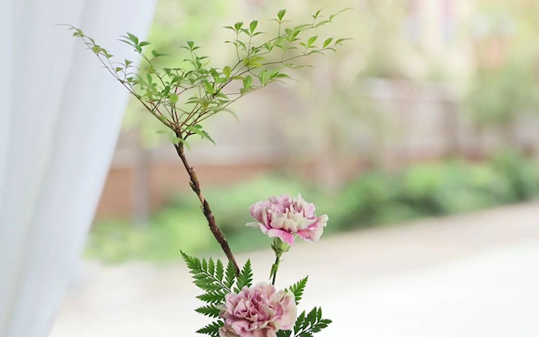 茶席花:南天竺,康乃馨,羊齿叶