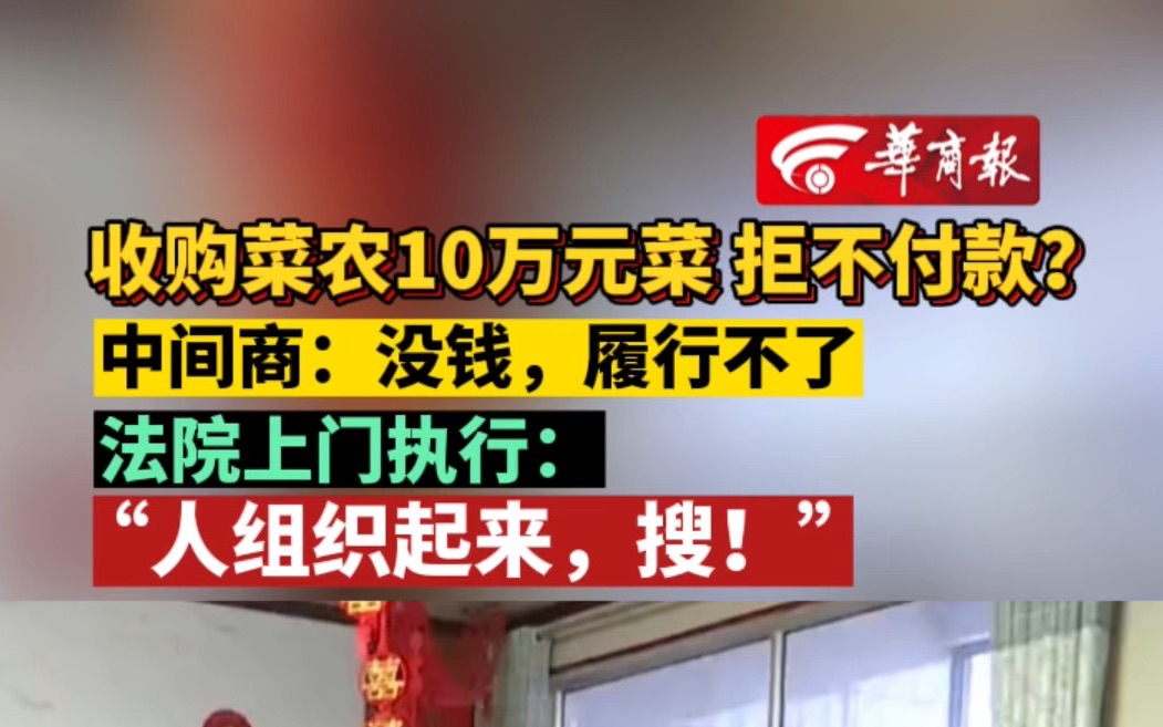 收购菜农10万元菜 拒不付款? 法院上门执行:“人组织起来,搜!”哔哩哔哩bilibili