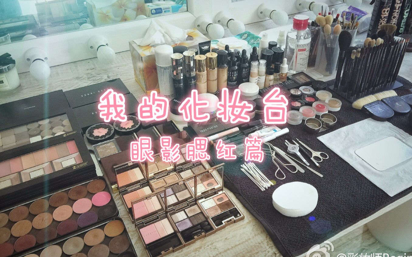 【蕊姐爱用品】蕊姐的化妆台2  眼影腮红篇 (片尾有彩蛋哦)哔哩哔哩bilibili