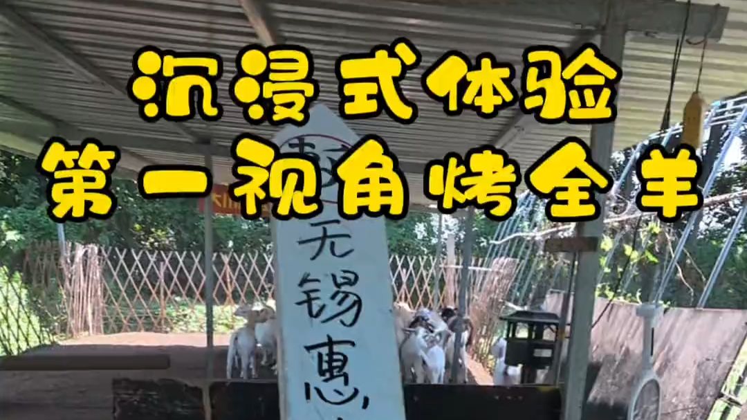 无锡惠山 家庭聚餐