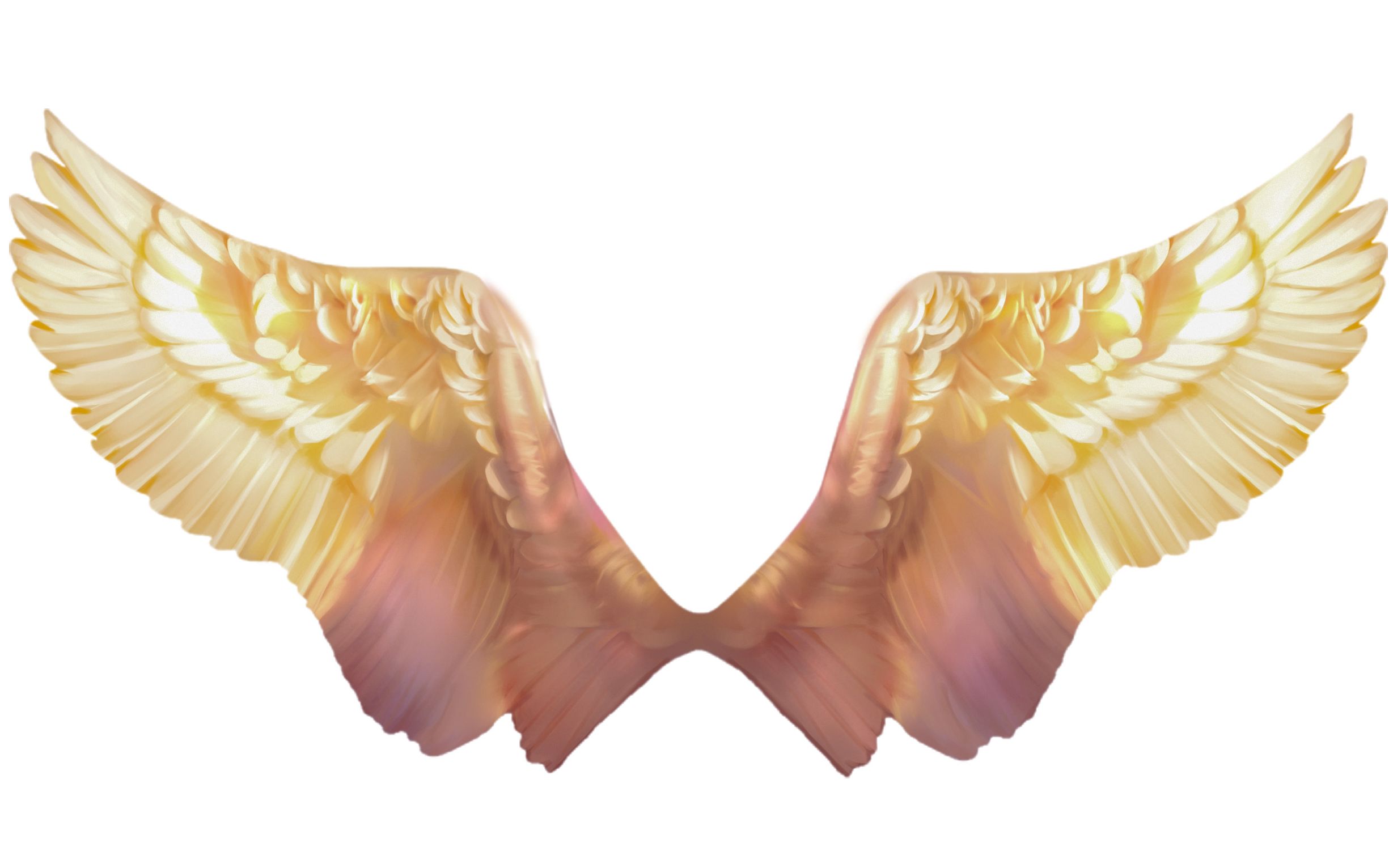 【板绘】简单几笔教你用厚涂画出好看的翅膀,真的不难,这些小技巧全都