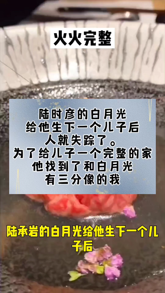 陆时彦的白月光给他生下一个儿子后,人就失踪了.为了给儿子一个完整的家,他找到了和白月光有三分像的我.结婚三年,我一直是他们父子俩背后的女人...