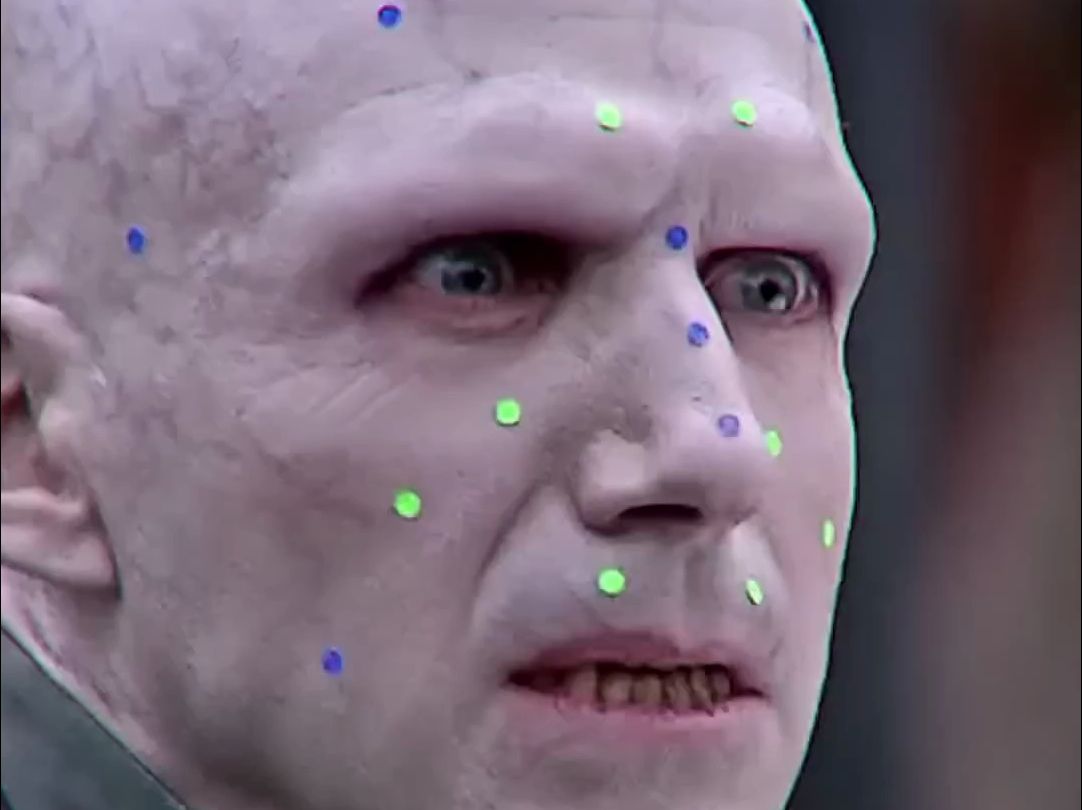 伏地魔 汤姆还有鼻子的时候 应该是一个偶像派