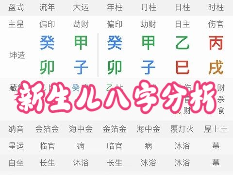 新生儿八字分析哔哩哔哩bilibili