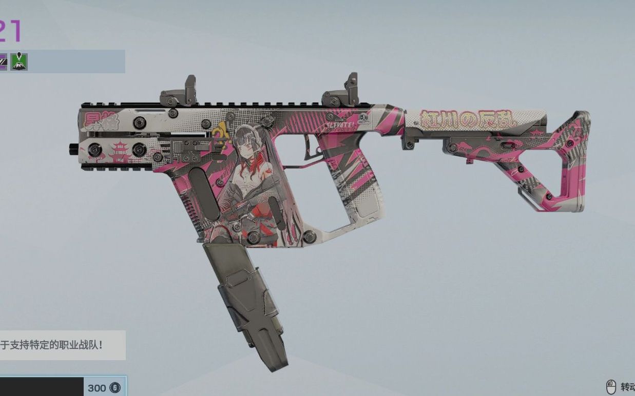 虎宝の彩虹六号1500买了二次元枪皮