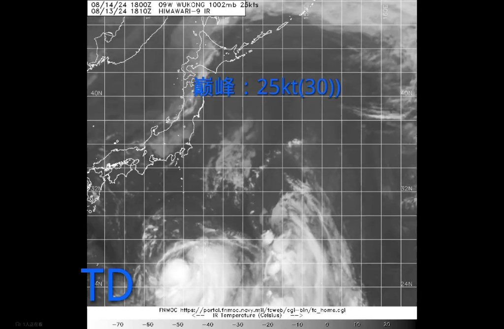没任何ACE可言的台风之一西北太平洋热带低压(热带风暴)悟空wukong(2024)哔哩哔哩bilibili