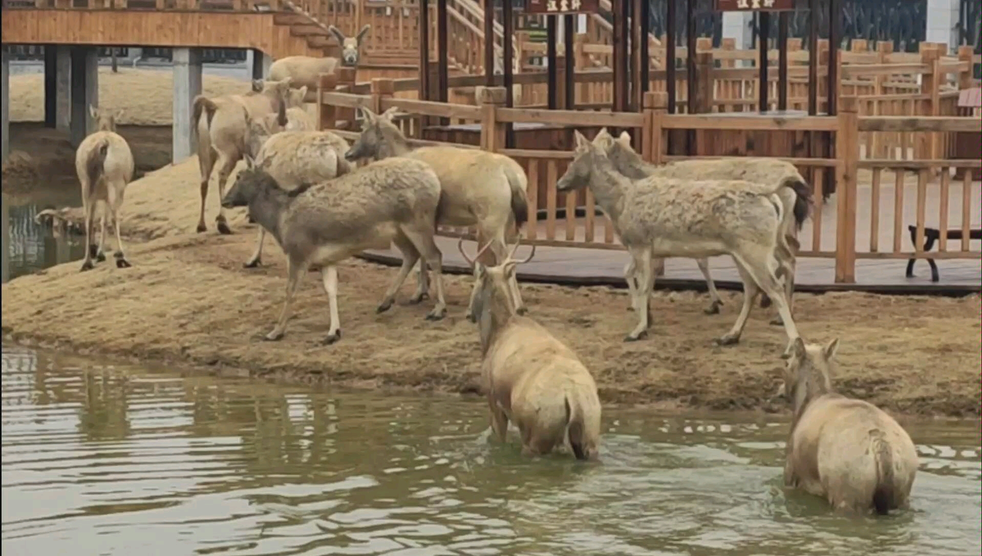 [图]这里是日照｜万平口旅游区