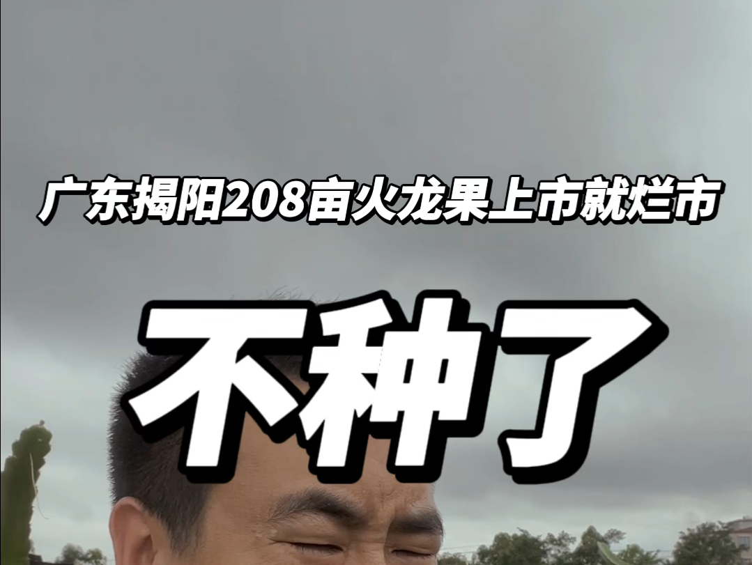 广东揭阳208亩火龙果上市就烂市,不种了,土地流转哔哩哔哩bilibili