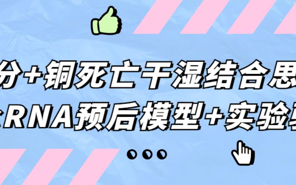 8分+铜死亡干湿结合思路,lncRNA预后模型+实验验证,模板思路拿去用,换个癌种又是一篇!/SCI论文/科研/研究生/生信分析热点思路哔哩哔哩bilibili