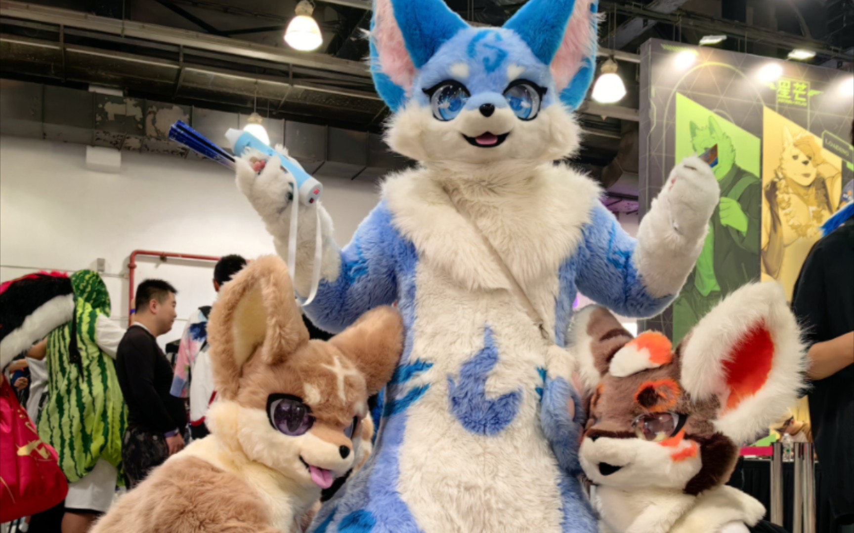 极兽聚米诉酱和聚聚们的邮集