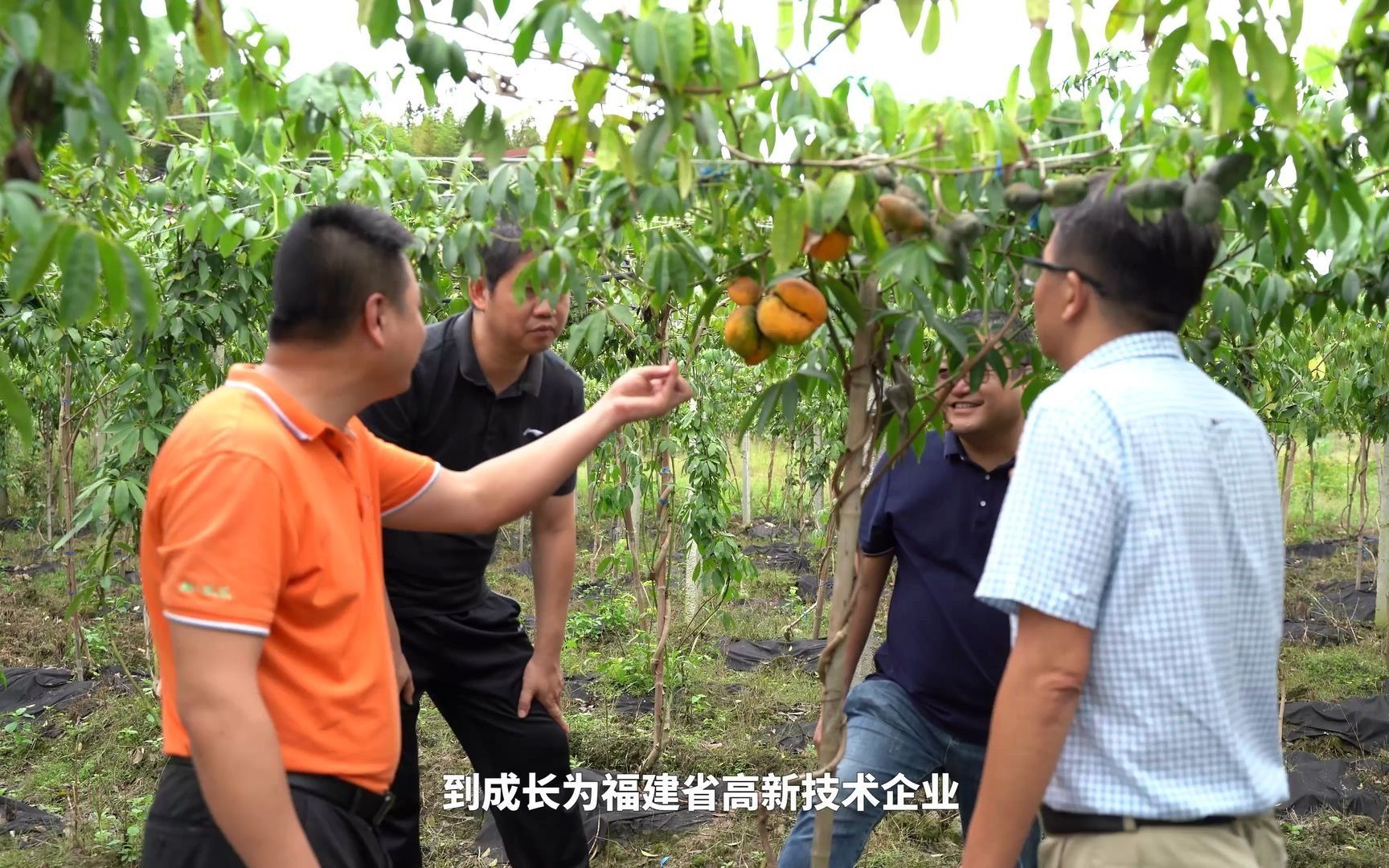 农科院农经所科企结缘宣传片哔哩哔哩bilibili