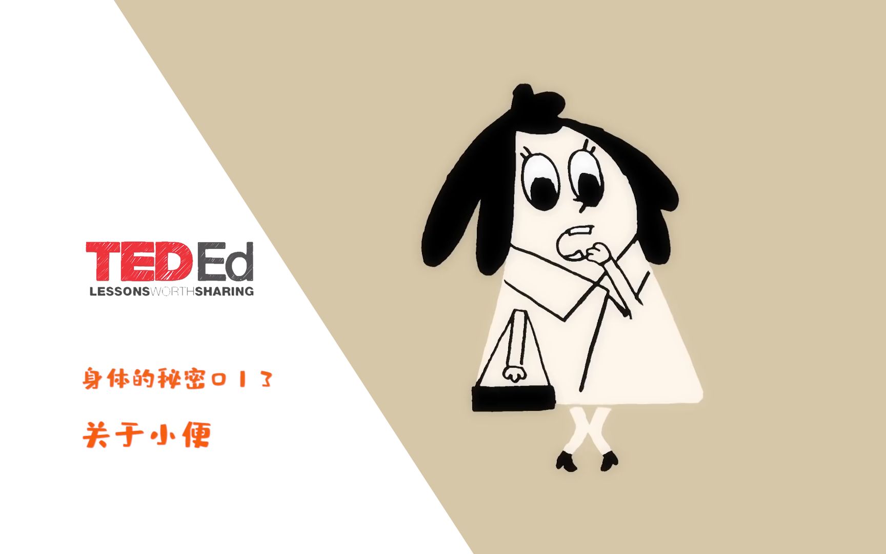 [图]【中英双语】【TED-Ed身体的秘密】013关于小便