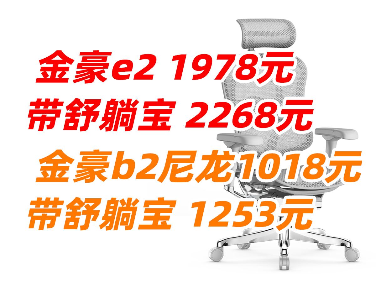 ergonor 保友 金豪e2 金豪b2 金豪e 金豪b 人体 工学椅 老板椅 电竞椅 电脑椅 办公 椅子 可躺 座椅 网面椅 高端 设计师 程序员 码农(2哔哩哔哩bilibili