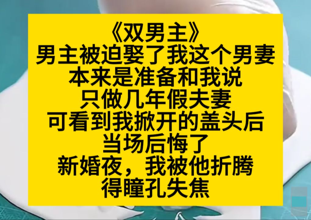 原耽推文 男主被迫娶了我这个男妻,本来想做假夫妻,谁知见我第一眼就改变了主意……哔哩哔哩bilibili