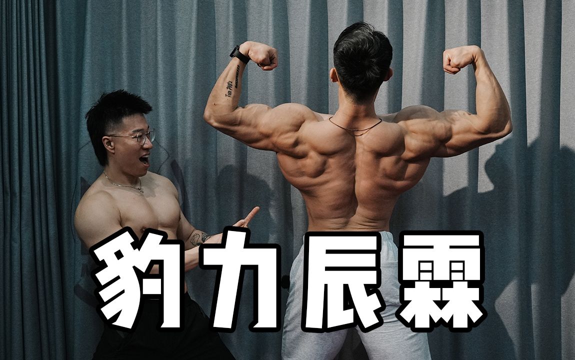 「约练豹力辰霖」鬼背的奥秘!如何用高位下拉练出外抛大圆肌-泽克-Zeke-泽克-Zeke-哔哩哔哩视频