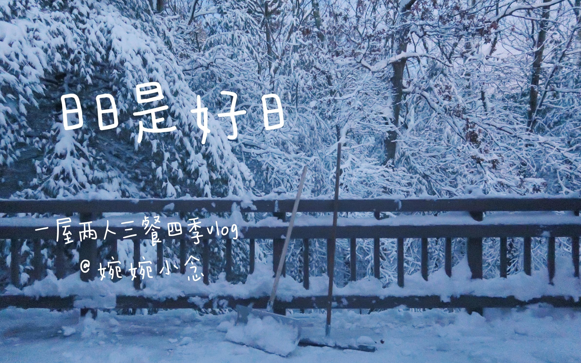 [图]日日是好日-秋日赏葵，冬天听雪| 一屋两人三餐四季vlog| 日子比想象中幸福