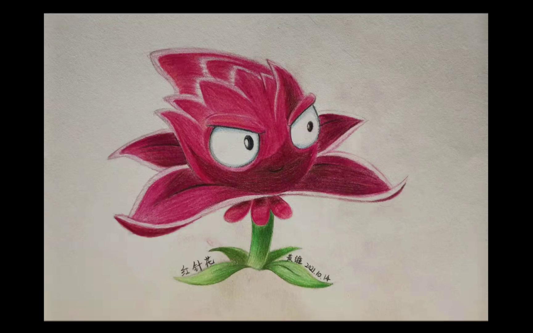 12--红针花(临摹)_哔哩哔哩_bilibili