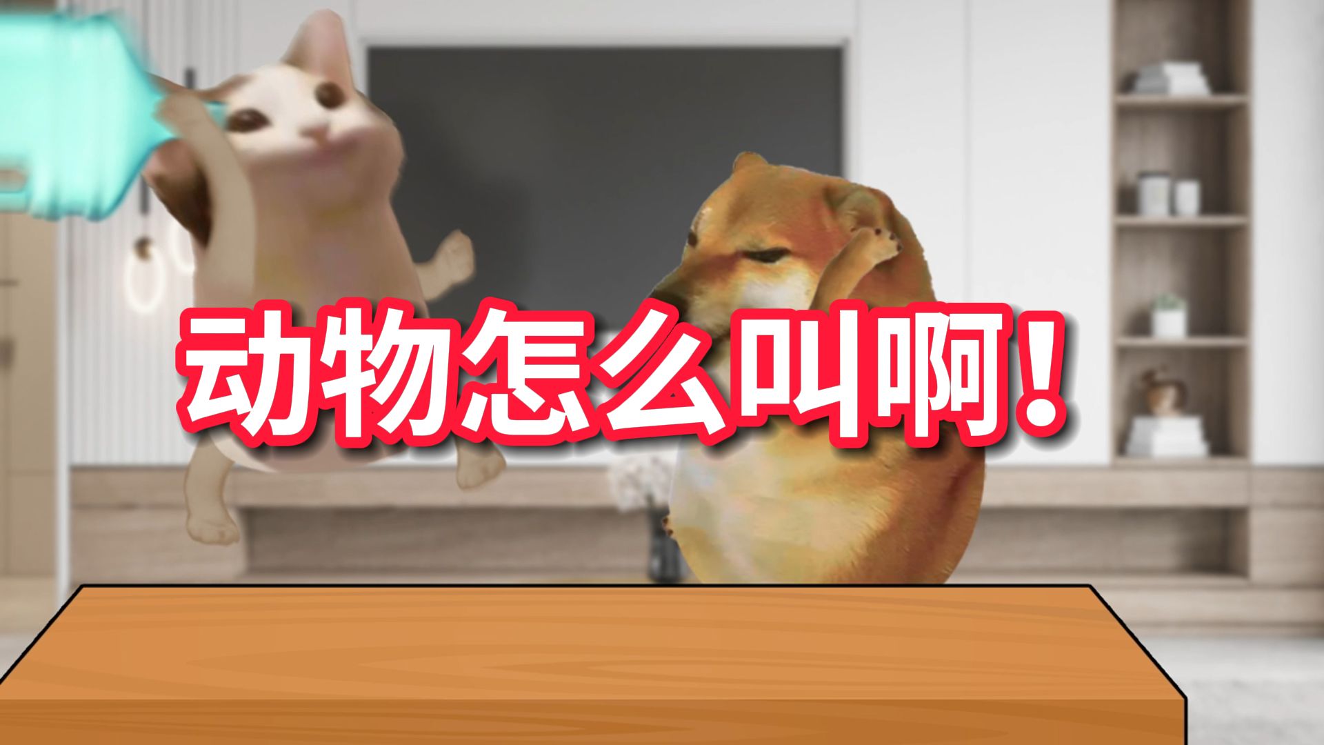 想听蟑螂怎么叫吗?哔哩哔哩bilibili