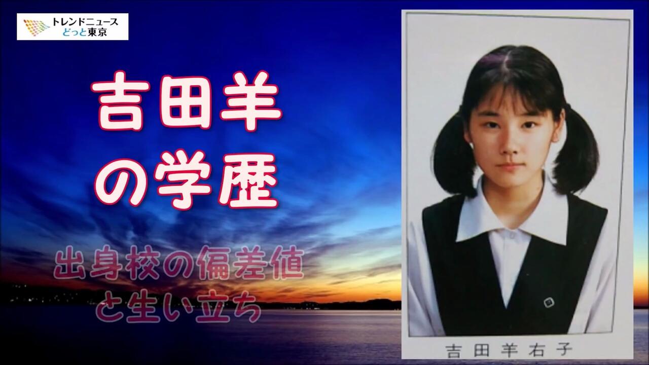 吉田 羊 学歴