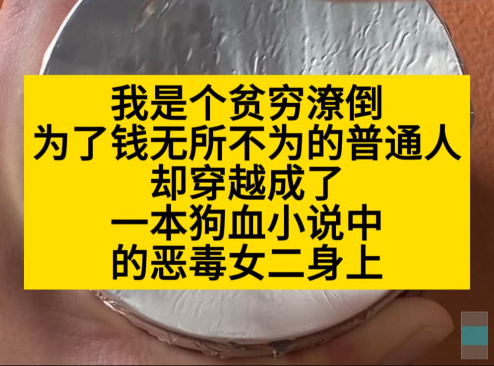 我是个贫困潦倒为了钱无所不为的普通人,我穿成了恶毒女二!小说推荐哔哩哔哩bilibili