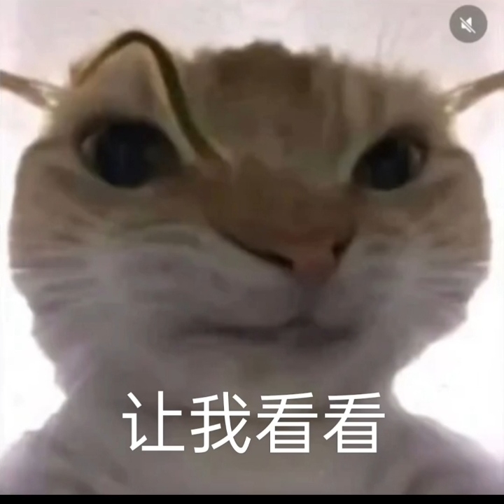 部分修猫表情包