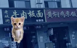 Download Video: 可颂猫 但是河北