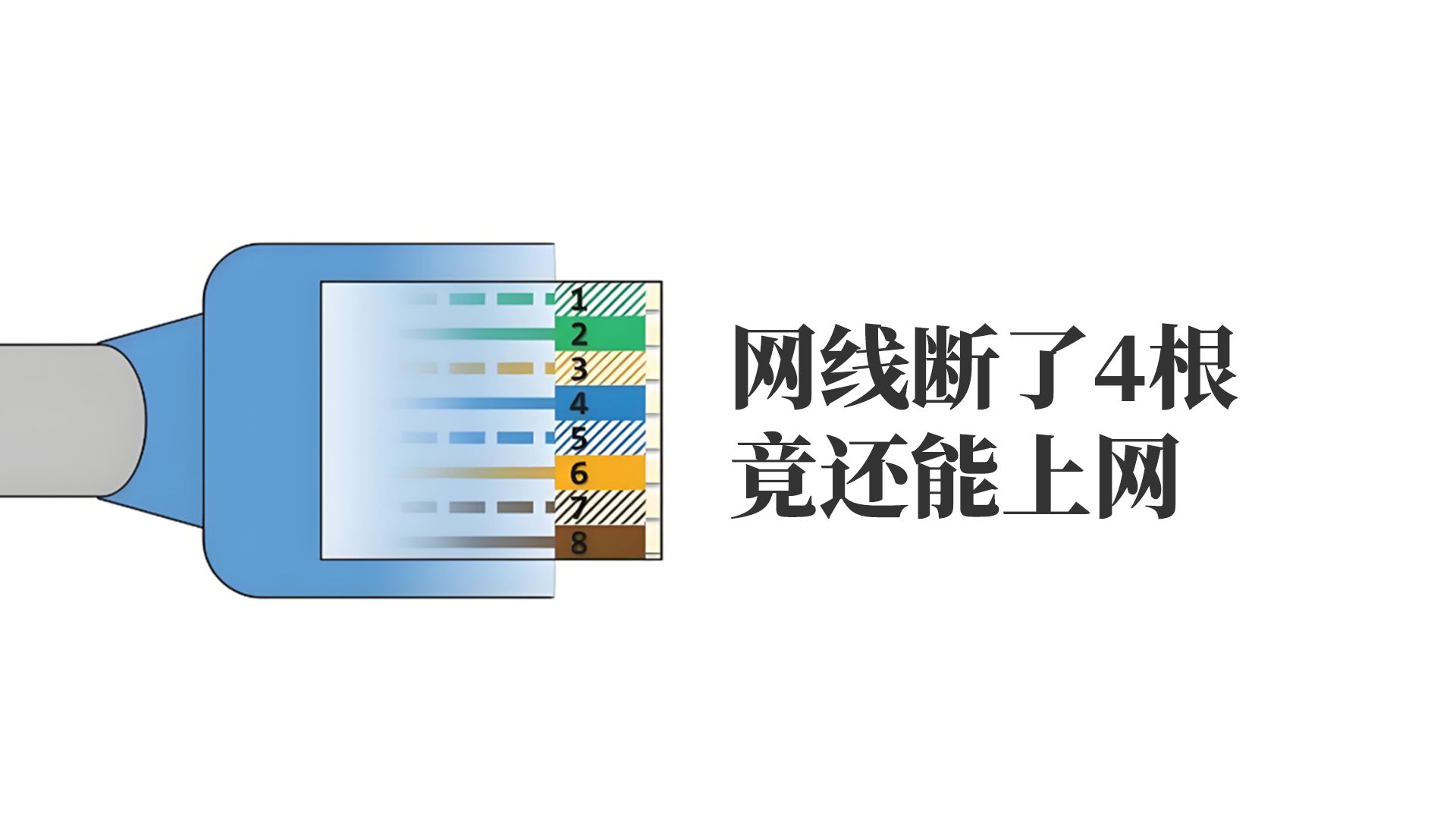 网线断了4根竟还能上网哔哩哔哩bilibili