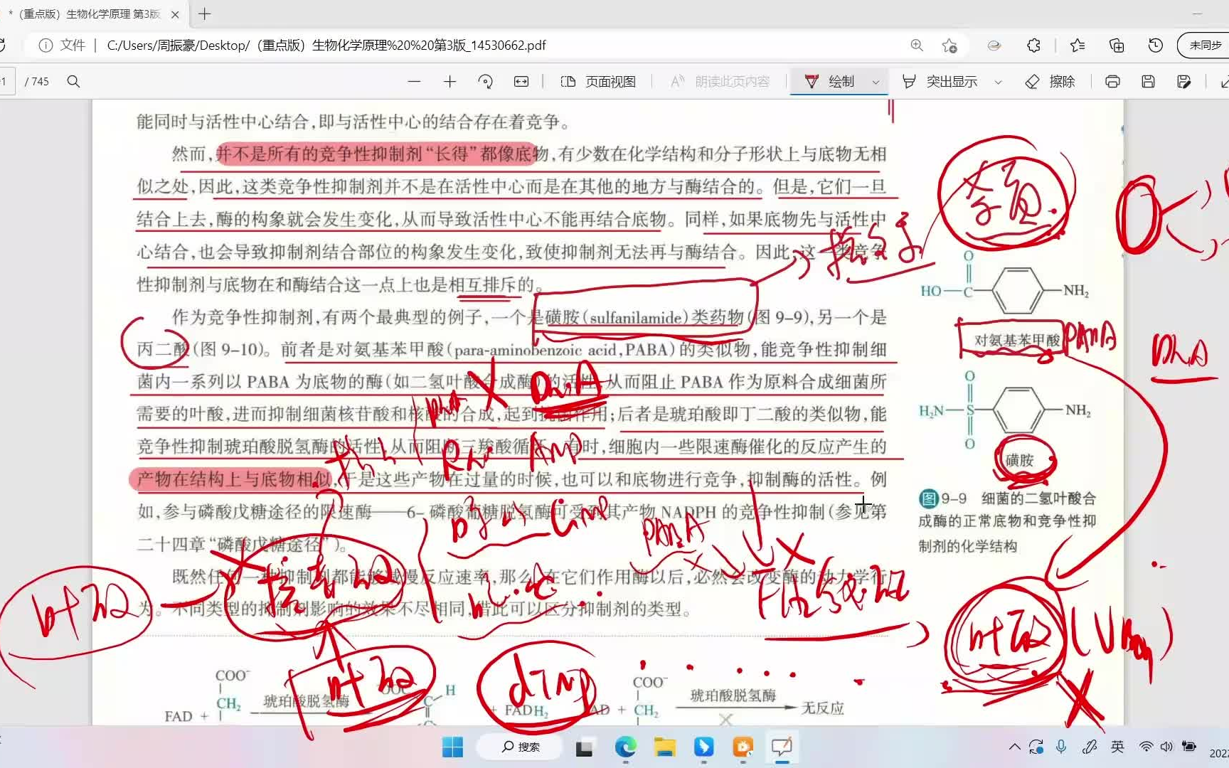 生化重点38竞争性抑制剂,超重点,一定有你不知道的细节!考研生物化学哔哩哔哩bilibili