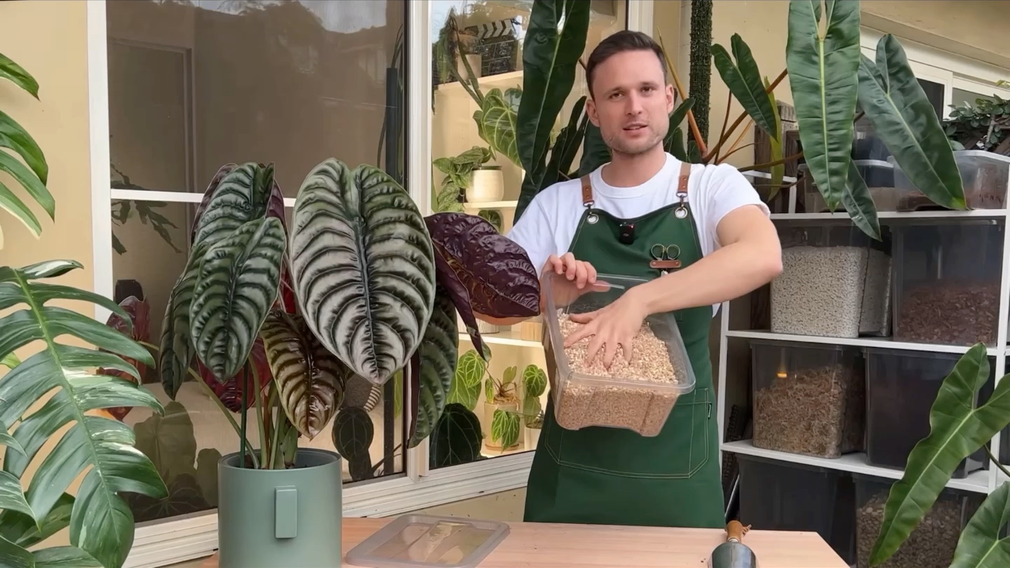 sydneyplantguy-potting mix-all you need to know to make an