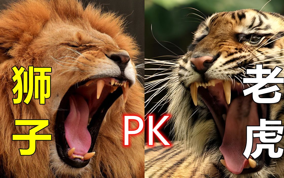 狮虎斗谁是最大赢家你想不到